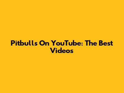 Pitbulls On YouTube: The Best Videos