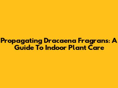 Propagating Dracaena Fragrans: A Guide To Indoor Plant Care