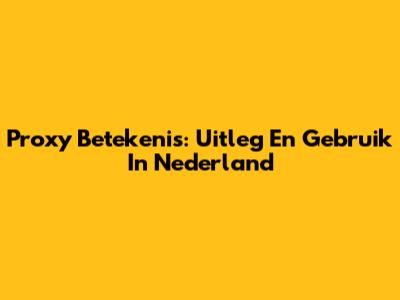 Proxy Betekenis: Uitleg En Gebruik In Nederland