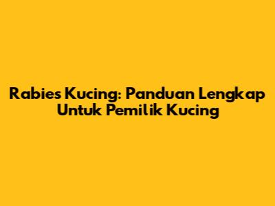 Rabies Kucing: Panduan Lengkap Untuk Pemilik Kucing