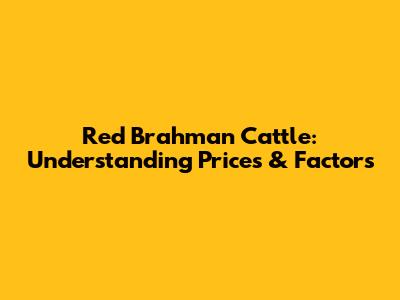 Red Brahman Cattle: Understanding Prices & Factors