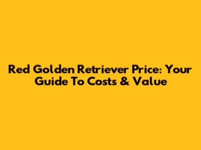 Red Golden Retriever Price: Your Guide To Costs & Value