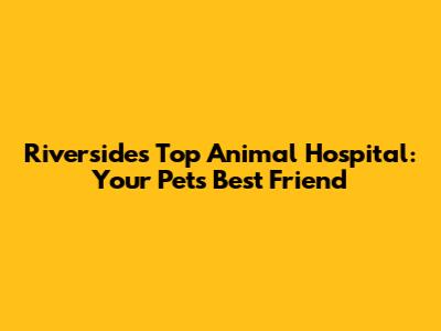 Riverside's Top Animal Hospital: Your Pet's Best Friend