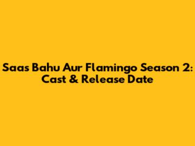 Saas Bahu Aur Flamingo Season 2: Cast & Release Date