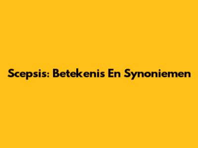 Scepsis: Betekenis En Synoniemen