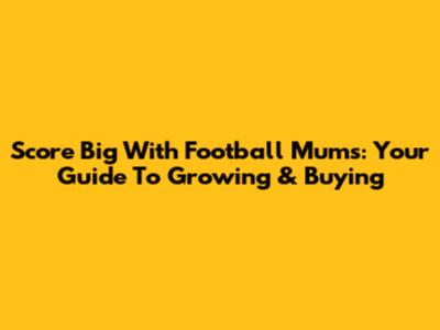 Score Big With Football Mums: Your Guide To Growing & Buying