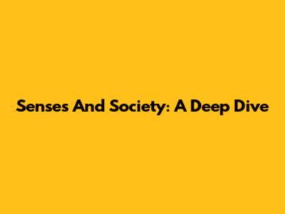 Senses And Society: A Deep Dive