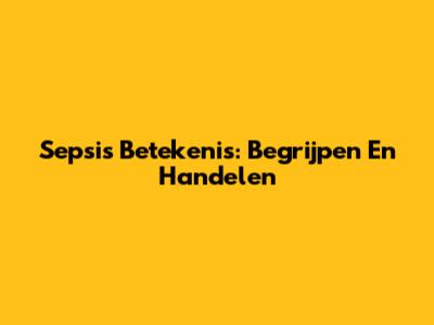 Sepsis Betekenis: Begrijpen En Handelen