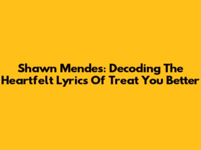 Shawn Mendes: Decoding The Heartfelt Lyrics Of Treat You Better