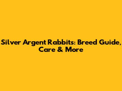 Silver Argent Rabbits: Breed Guide, Care & More