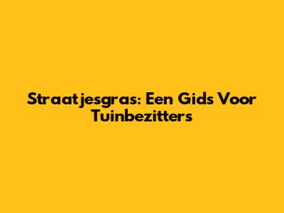 Straatjesgras: Een Gids Voor Tuinbezitters