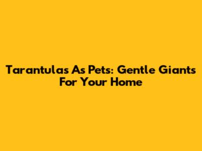 Tarantulas As Pets: Gentle Giants For Your Home