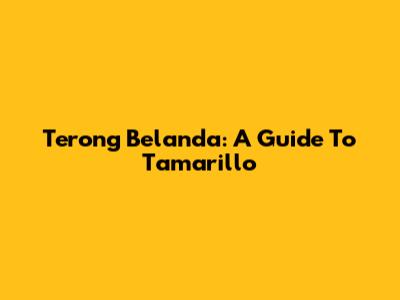 Terong Belanda: A Guide To Tamarillo