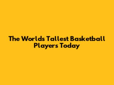 The World's Tallest Basketball Players Today