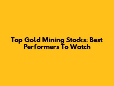 Top Gold Mining Stocks: Best Performers To Watch