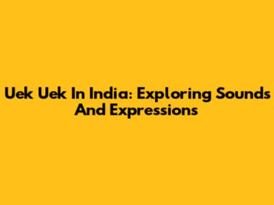 Uek Uek In India: Exploring Sounds And Expressions