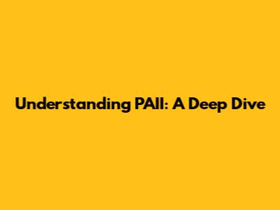 Understanding PAII: A Deep Dive