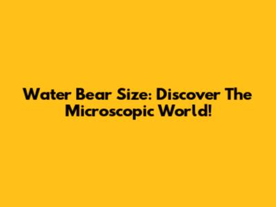 Water Bear Size: Discover The Microscopic World!