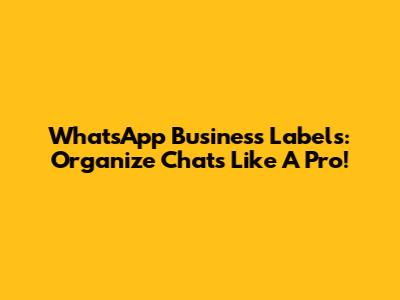 WhatsApp Business Labels: Organize Chats Like A Pro!