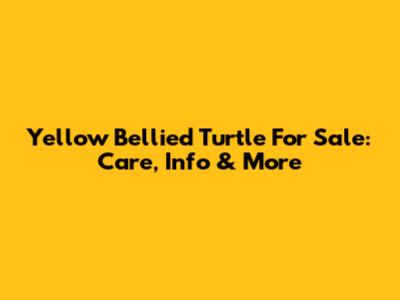 Yellow Bellied Turtle For Sale: Care, Info & More