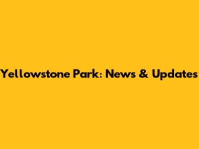 Yellowstone Park: News & Updates