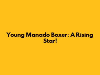 Young Manado Boxer: A Rising Star!